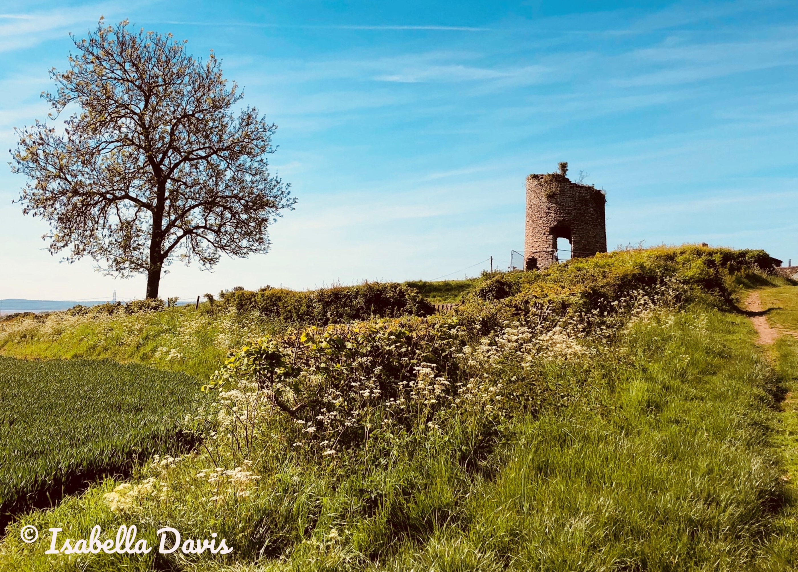 rogiet windmill_watermarked